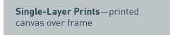 Single Layer Prints printed canvas over frame