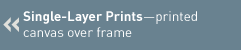 Single Layer Prints printed canvas over frame